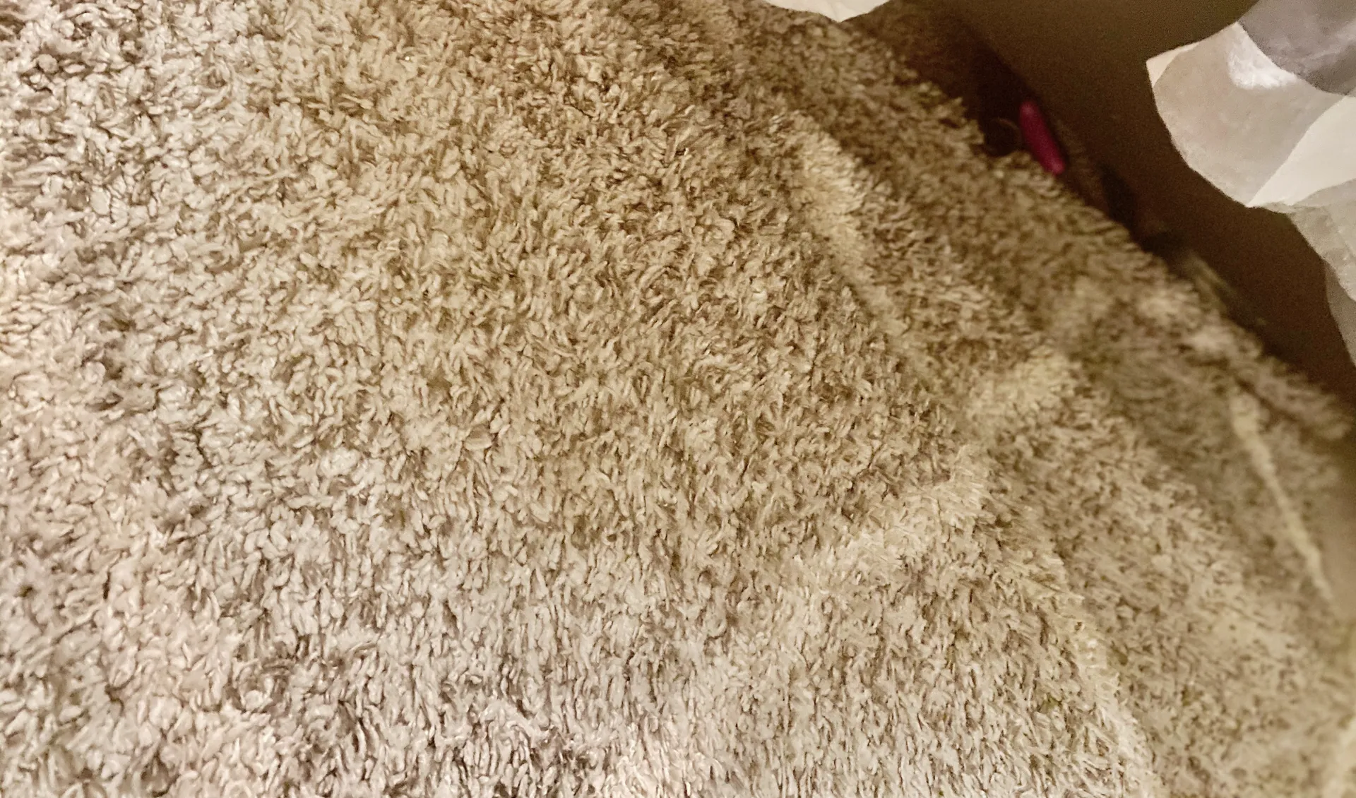 Rug Wrinkle Hack and Tips