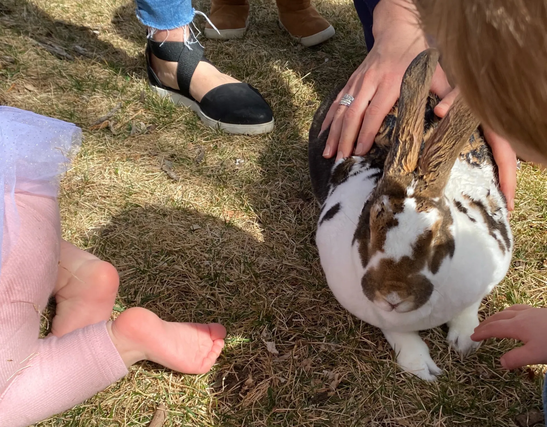 Bunny Themed Birthday Party Tips and Ideas