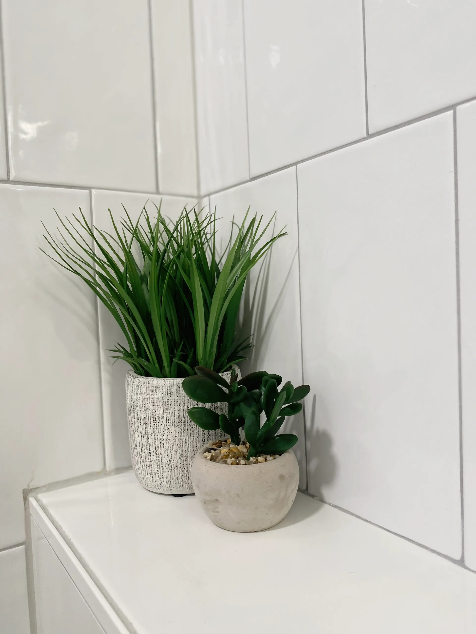 Basement Bathroom Transformation