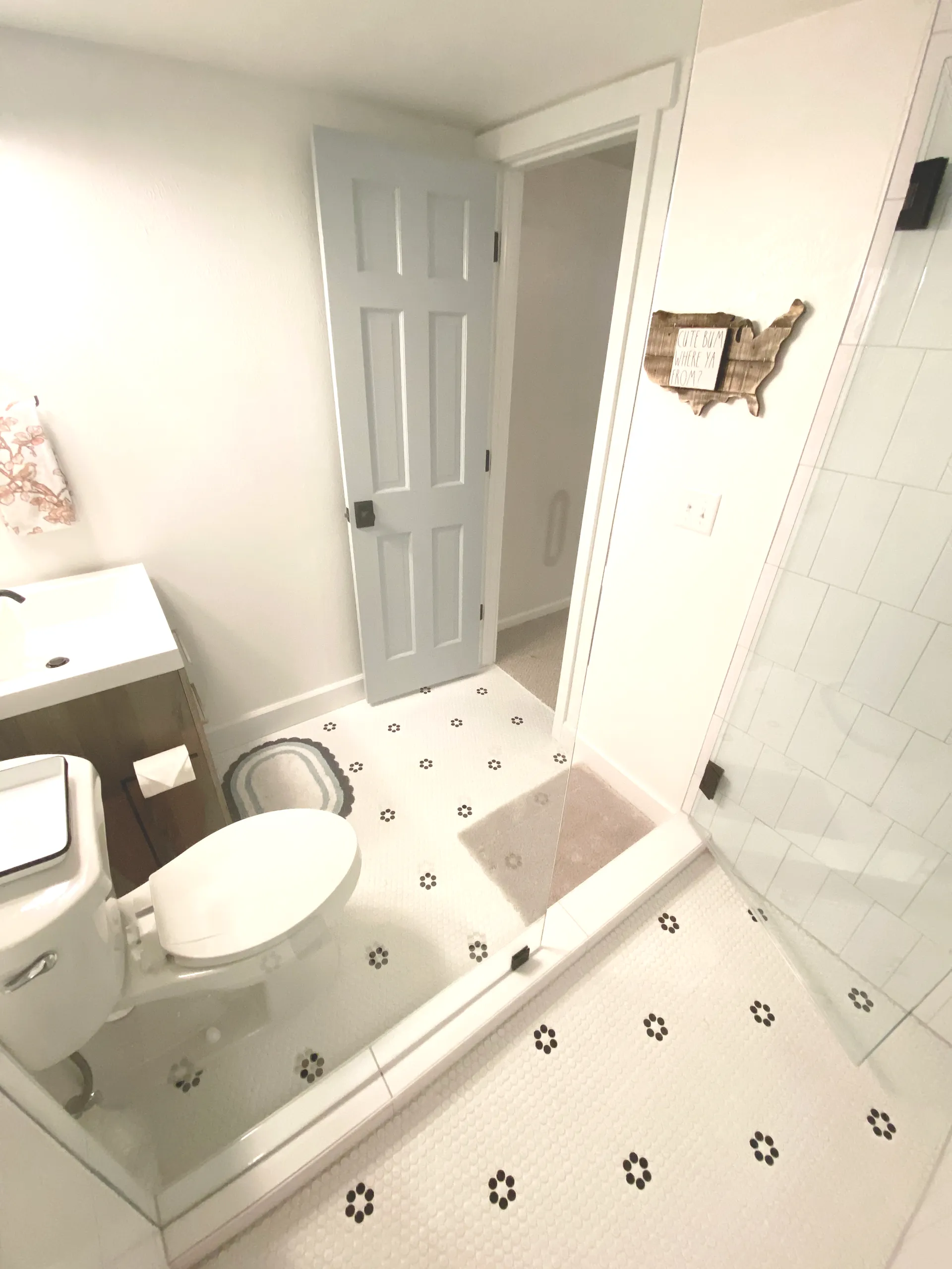 Basement Bathroom Transformation
