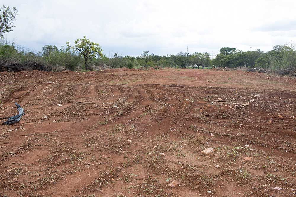 A cleared red dirt field with faint tractor tracks, surrounded by sparse trees and bushes under a cloudy sky.