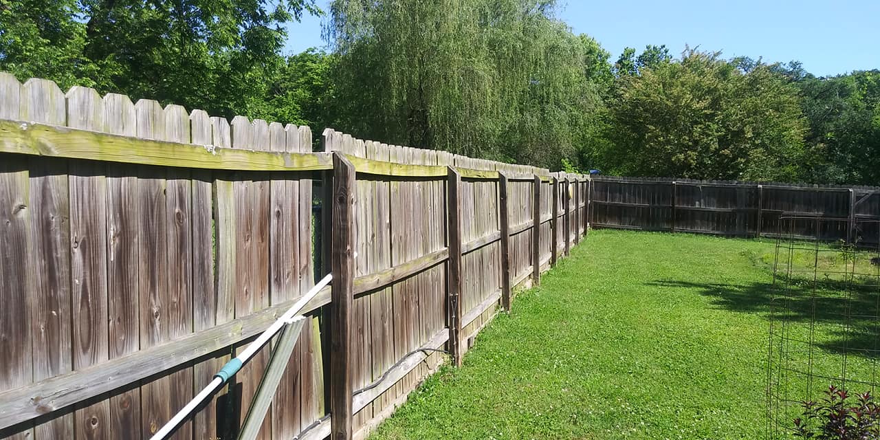 A wooden fence surrounds a lush green yard.
