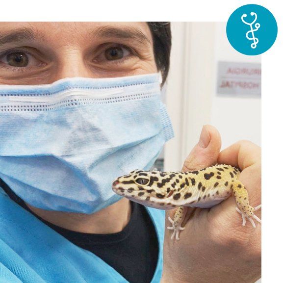 Animali esotici (NANC)