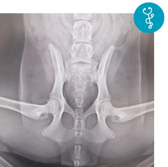 Diagnostica avanzata