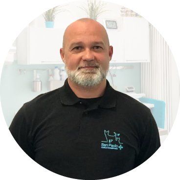 Dr. Massimiliano Pleitavino