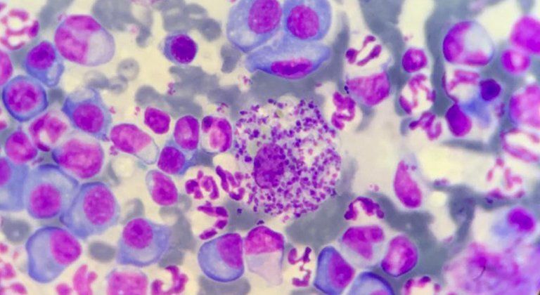 Medicina di laboratorio