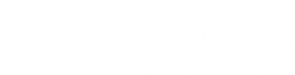 Advantage Point Logo