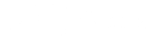 Pro Steamers Plus logo