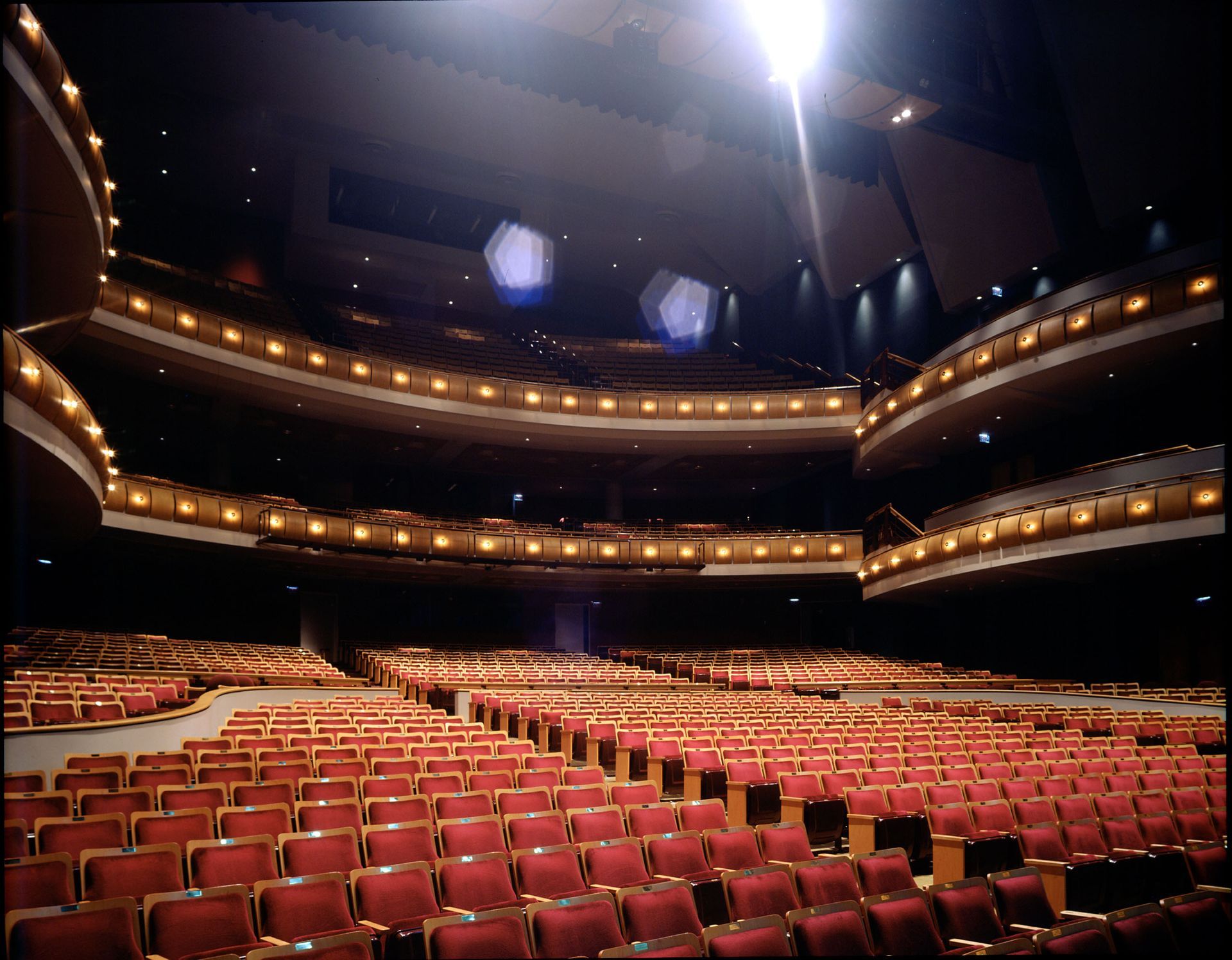 the honda center is surrounded by palm trees at night