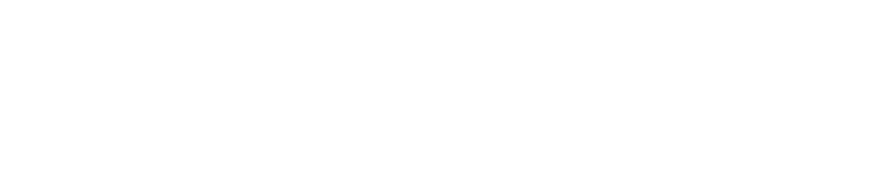 Thin black horizontal line on a white background, centered near the bottom
