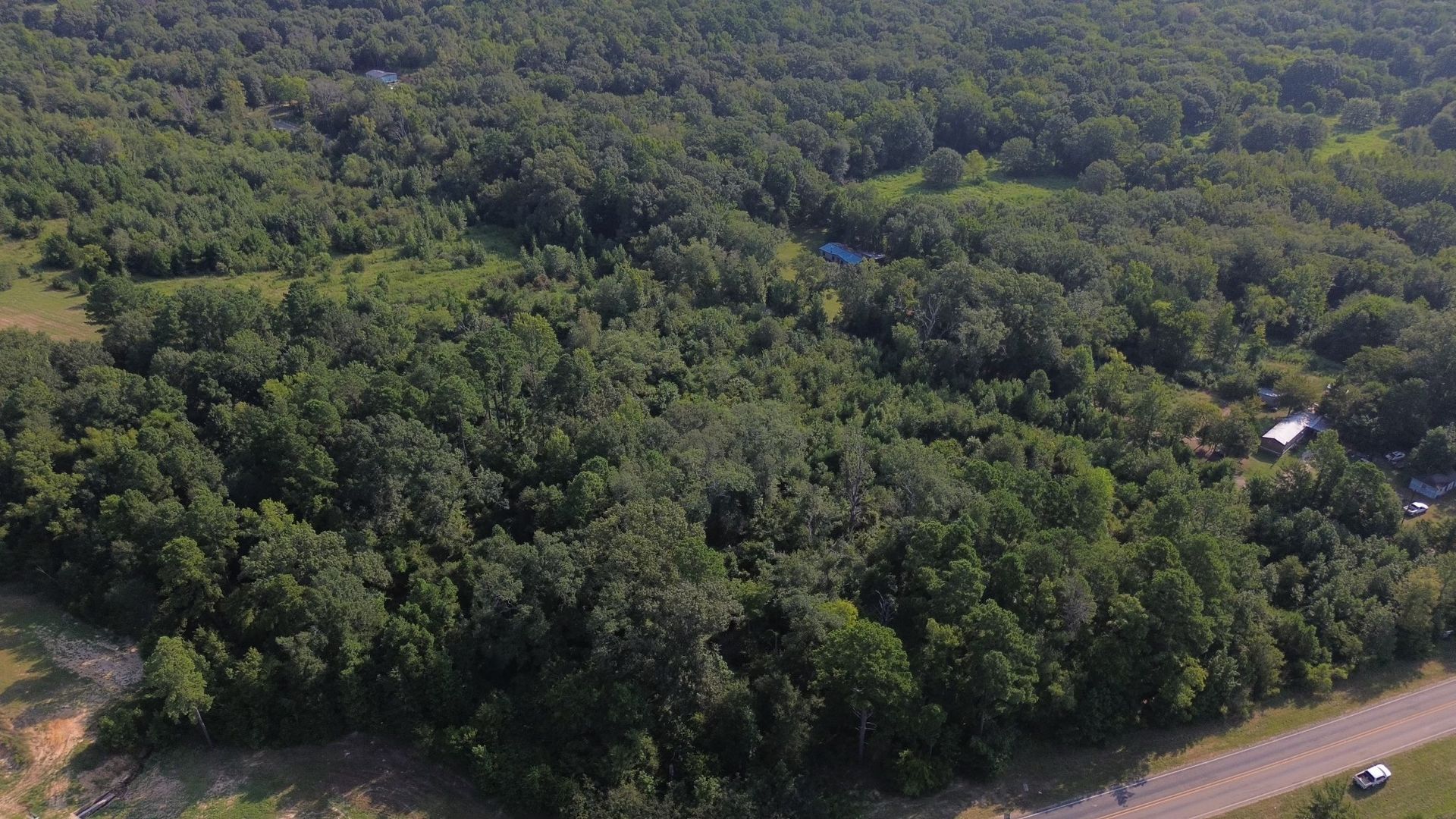 Aerial view of a dense green forest with a few visible buildings along the edge and a road in the foreground.