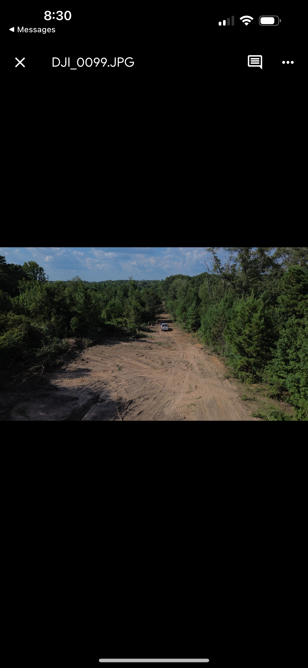Dirt path through trees under a blue sky.