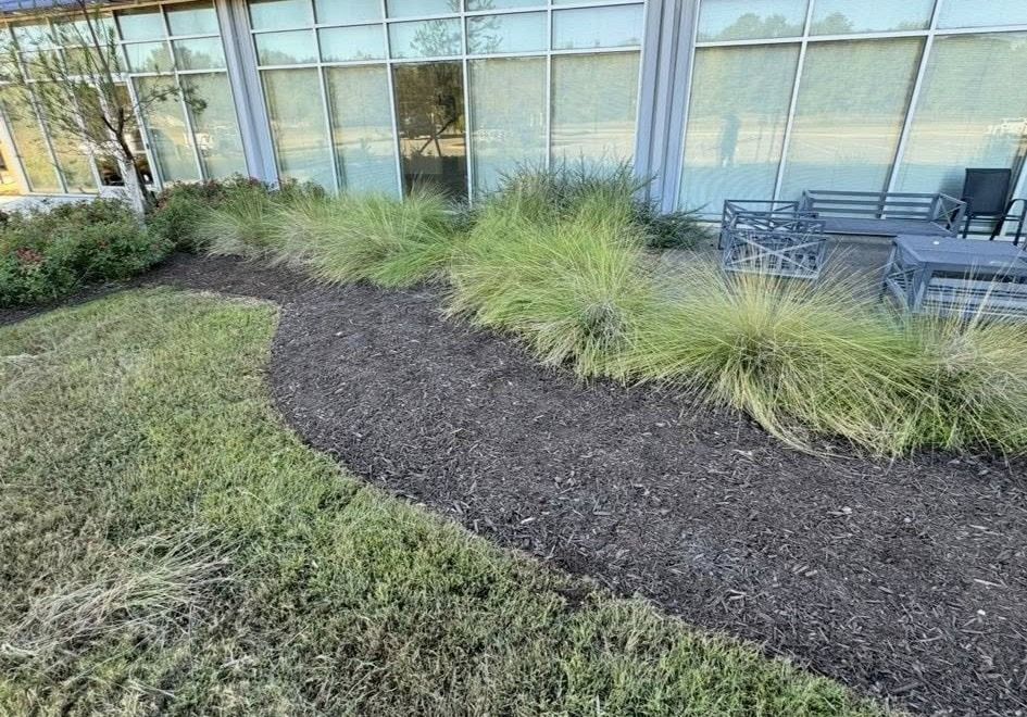 A grassy area with mulch and ornamental grasses in front of a building with outdoor seating.