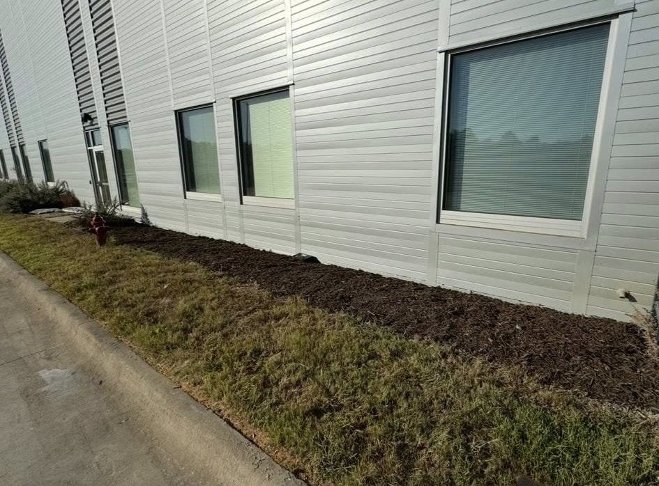 Exterior view of a building with windows and a grassy area with dark mulch bordering the wall.