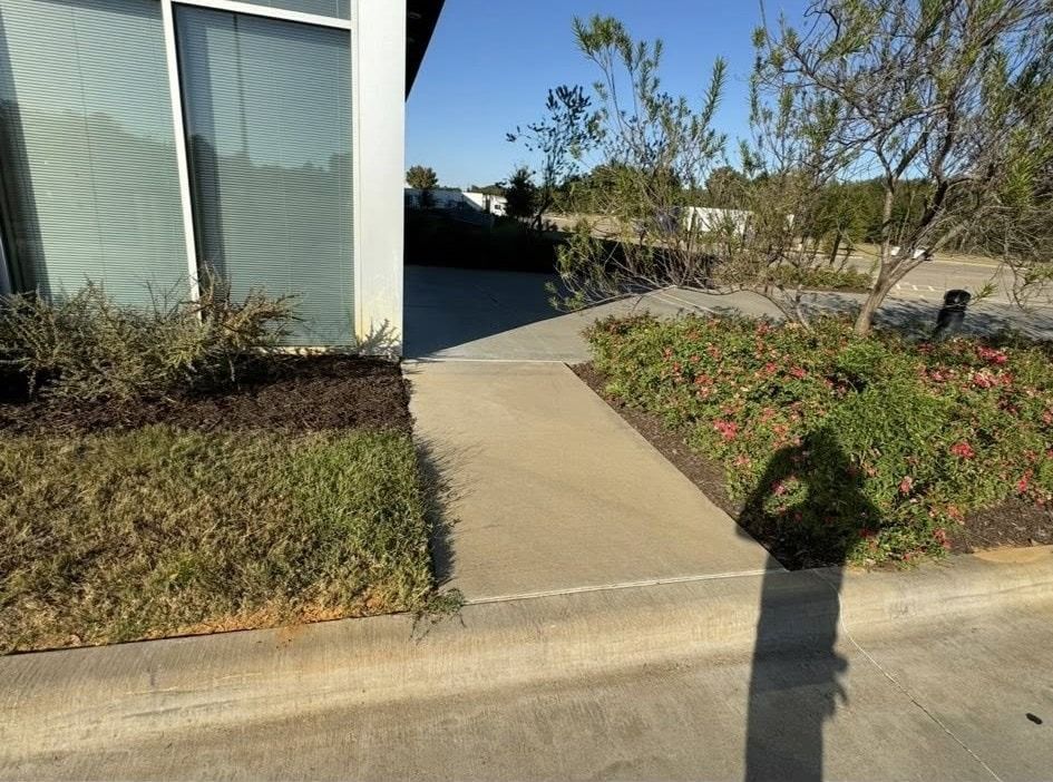 Sidewalk ramp next to a building with shrubs and a shadow in the sun.