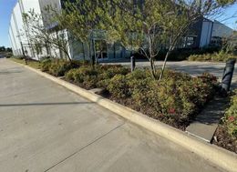 A concrete curb borders a landscaped bed of bushes and trees in front of a building.