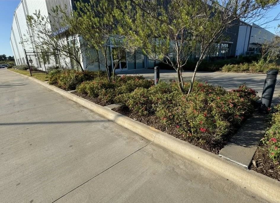 A landscaped area with trees and bushes in front of a commercial building. Concrete curb separates the plants from the parking lot.