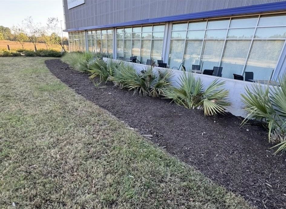 Green grass and bed of mulch with green plants against a building with glass windows.