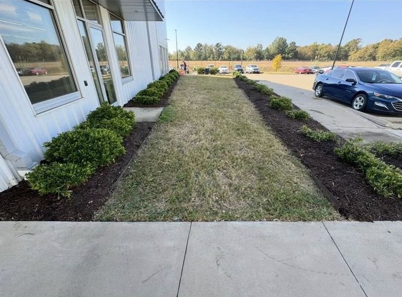 A grassy walkway bordered by bushes and mulch, beside a building and a parking lot.