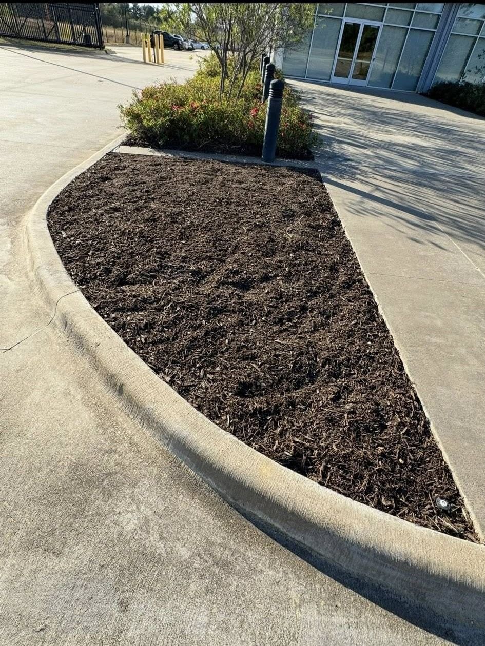 Brown mulch in a concrete-bordered flower bed beside a driveway, near a glass-walled building.