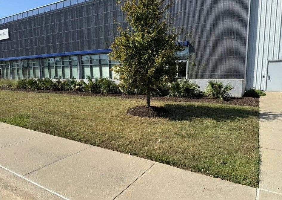 Exterior of a building with a tree in front and a sidewalk.