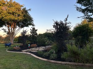 A garden with a blue wheelbarrow in the middle of it.