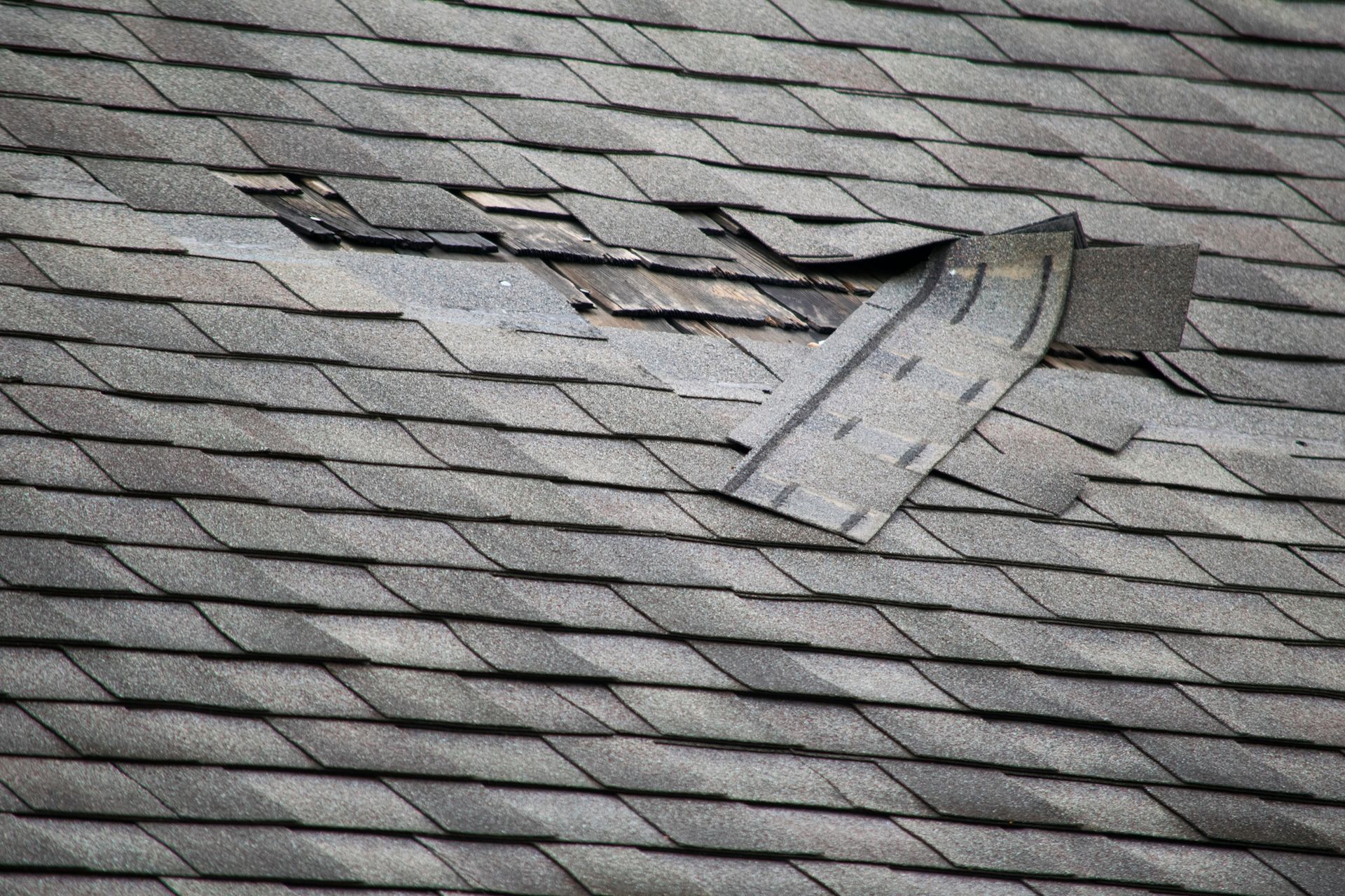 Signs You May Have Roof Damage