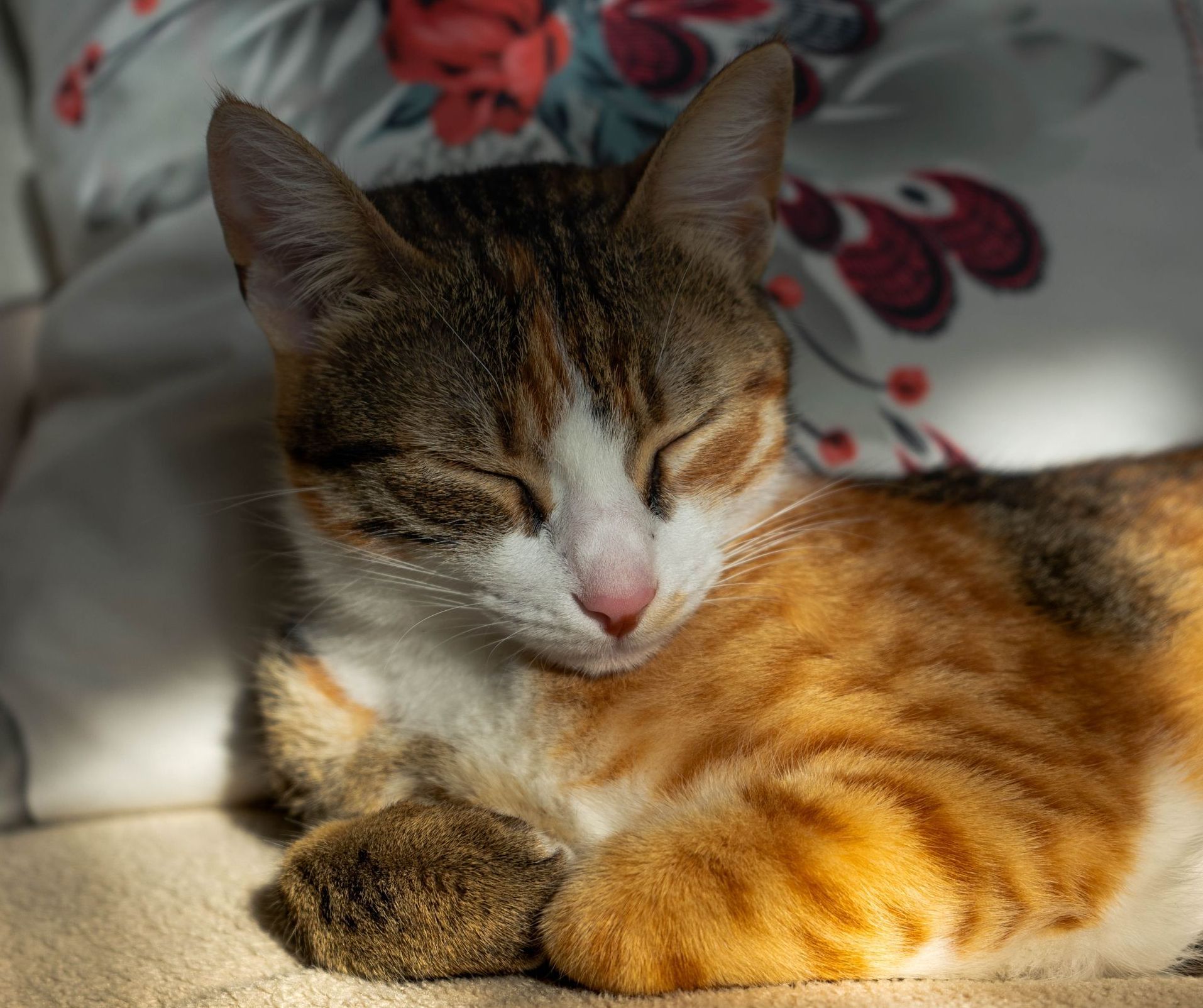 a cat is sleeping on a pillow with flowers on it