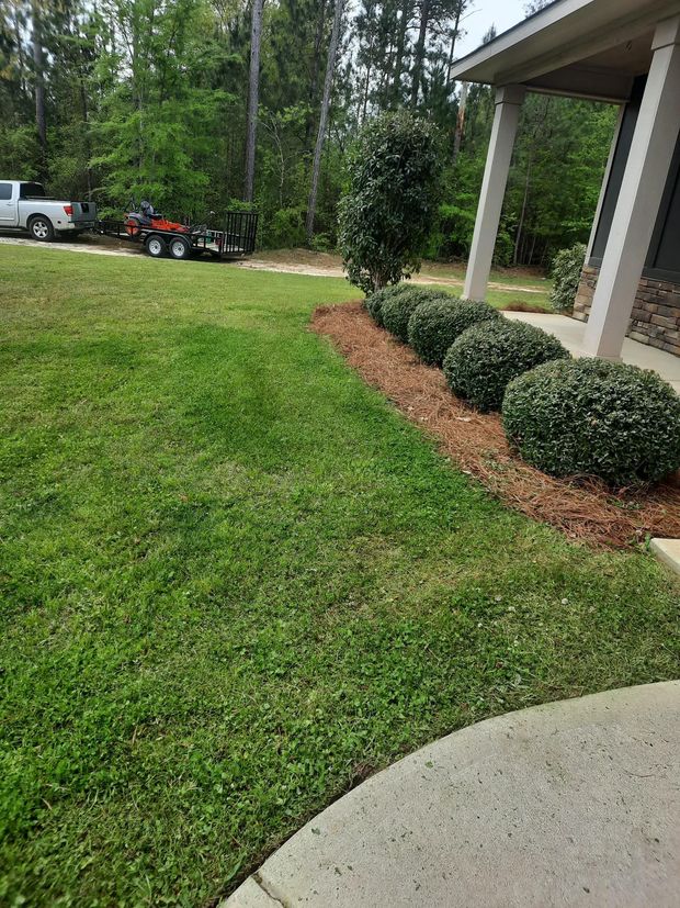 A lush green lawn next to a sidewalk and a house.