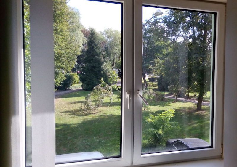 Langas su vaizdu į parką ir medžius