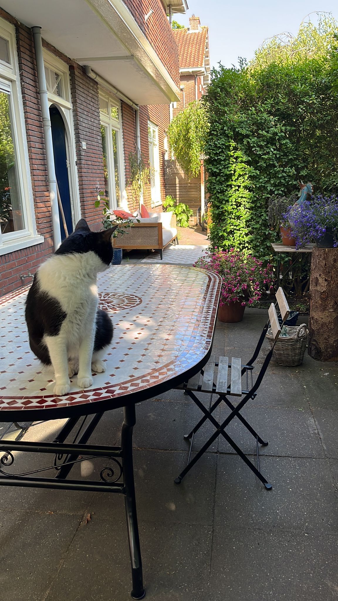 Marokkaanse mozaiektafel