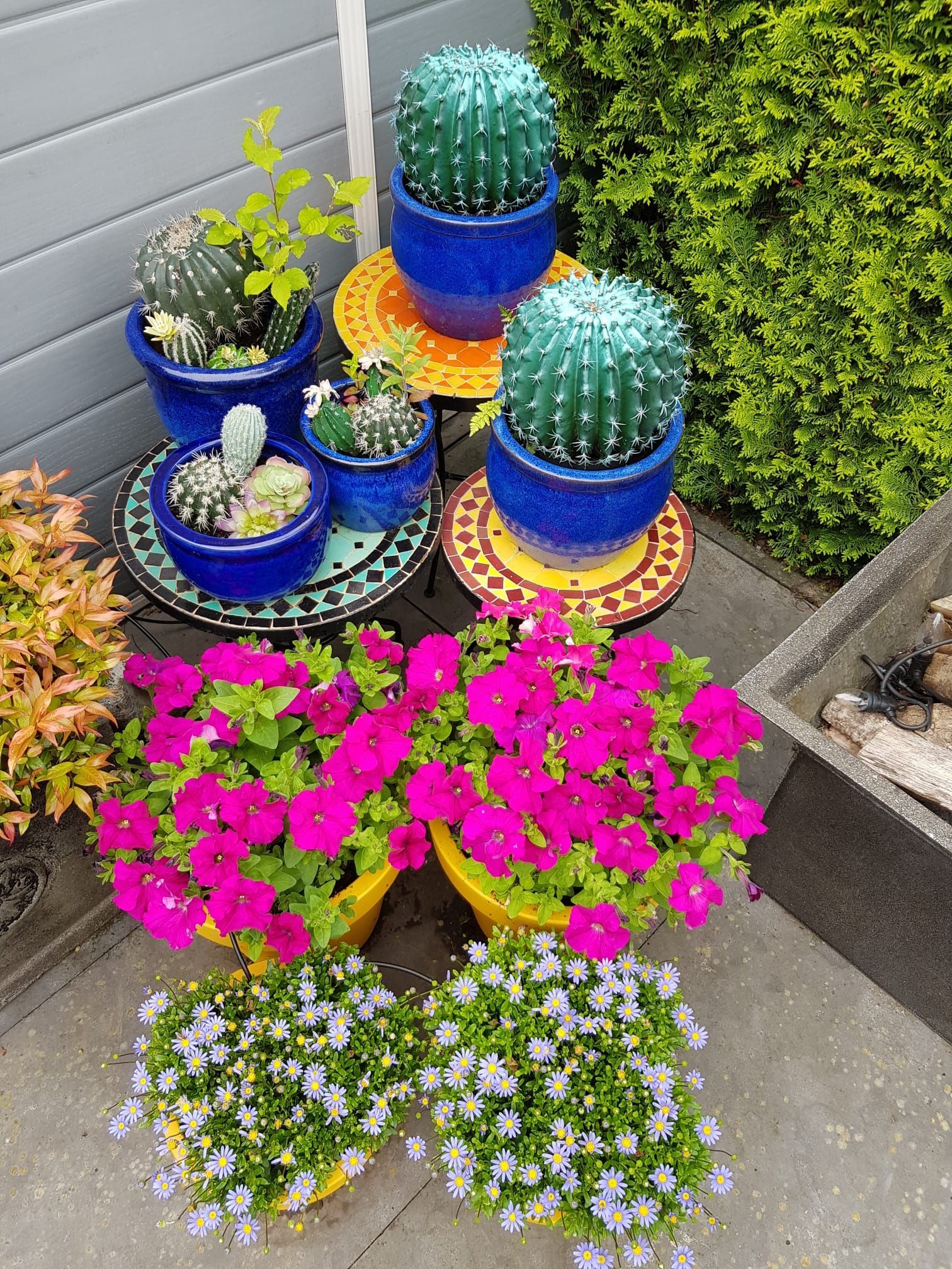 Marokkaanse mozaiektafel