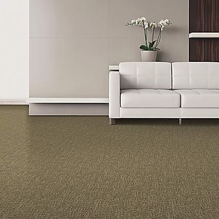 Beige carpet in a modern living room with a white sofa and orchids on a table.