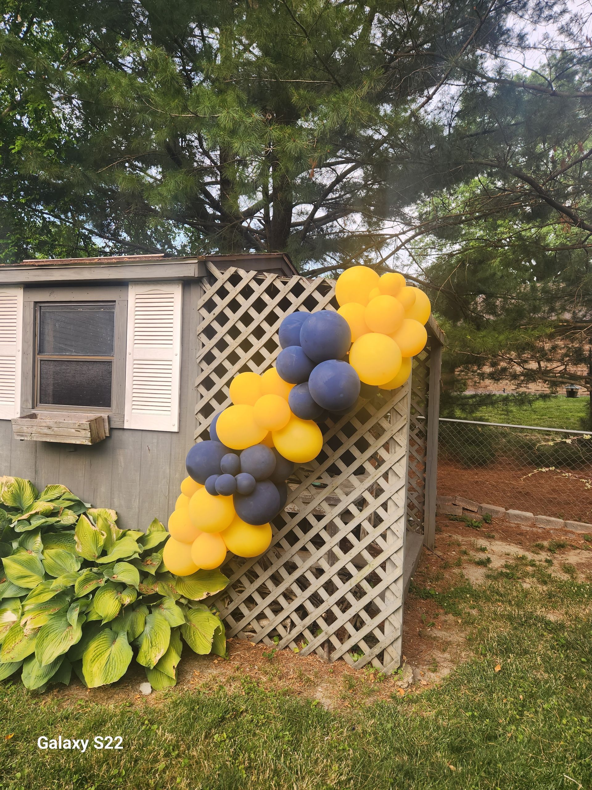 Balloon Garland Extraordinary Balloons