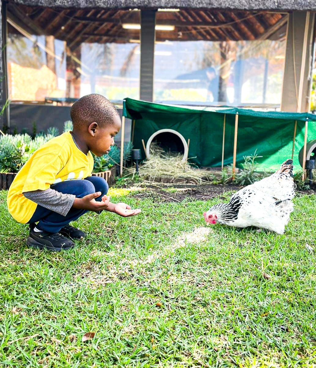 A young boy is feeding a chicken in the grass.