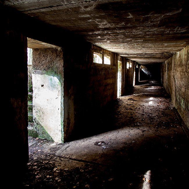 Cassemat Kol. Driant