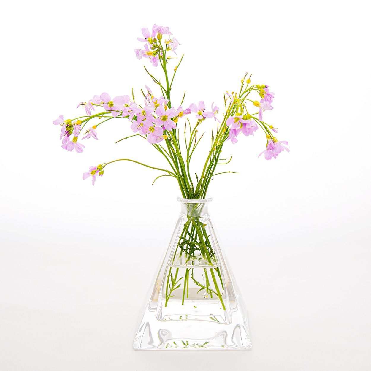 Pinksterbloemen, pinksterbloemen in vaas, Productfotografie