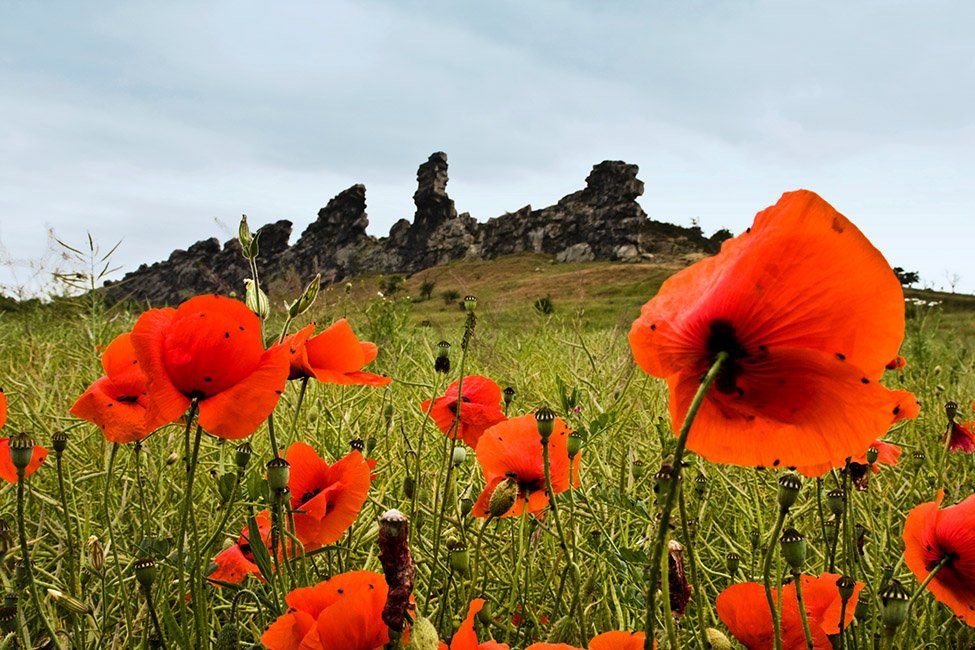 Teufelsmauern Deutschland