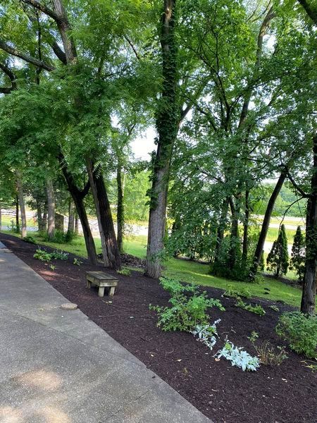 A bench is sitting on the side of a path surrounded by trees.