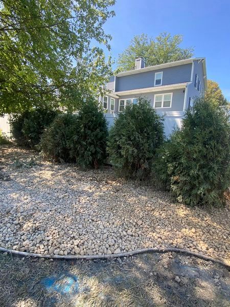 A house with a lot of bushes in front of it