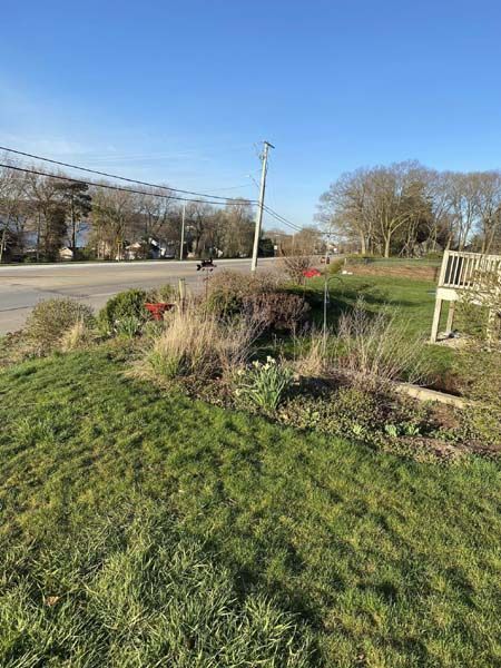 A lush green field with a bench in the middle of it.