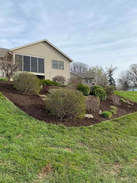 A house is sitting on top of a lush green hillside surrounded by trees and bushes.