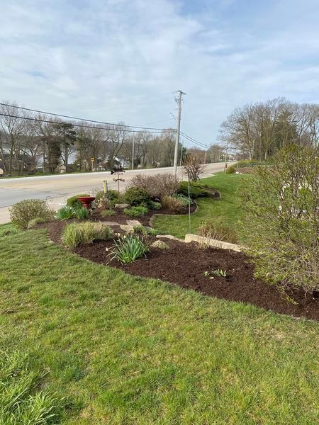 A lush green yard with a road in the background.