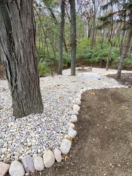 A tree trunk is surrounded by rocks in the middle of a forest.