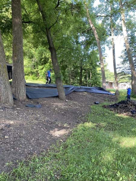 A man is standing in the middle of a field surrounded by trees.