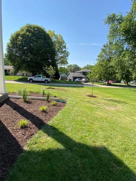 A lush green lawn with a white truck parked in the driveway.