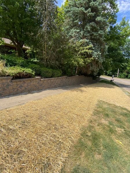A lawn with a brick wall and trees in the background.