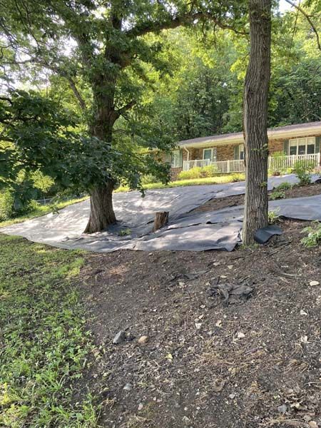 A house is sitting on top of a hill next to a tree.