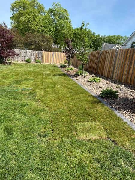 A lush green lawn with a wooden fence in the background.