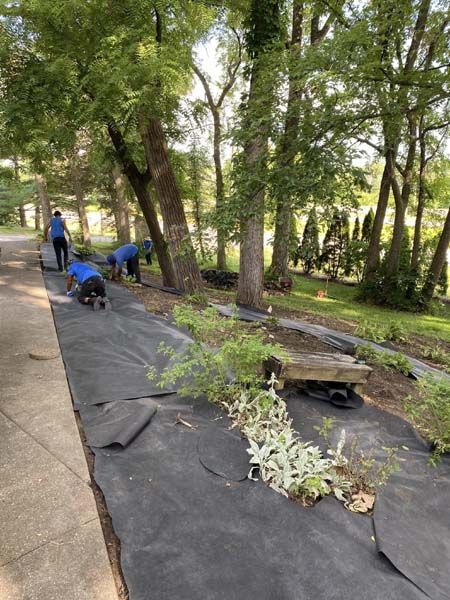 A group of people are working on a lawn in a park.